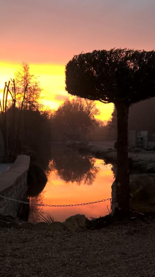 Hotel Restaurant Le Moulin De La Renne Adults Only Proche Zoo De Beauval Thesee Екстер'єр фото